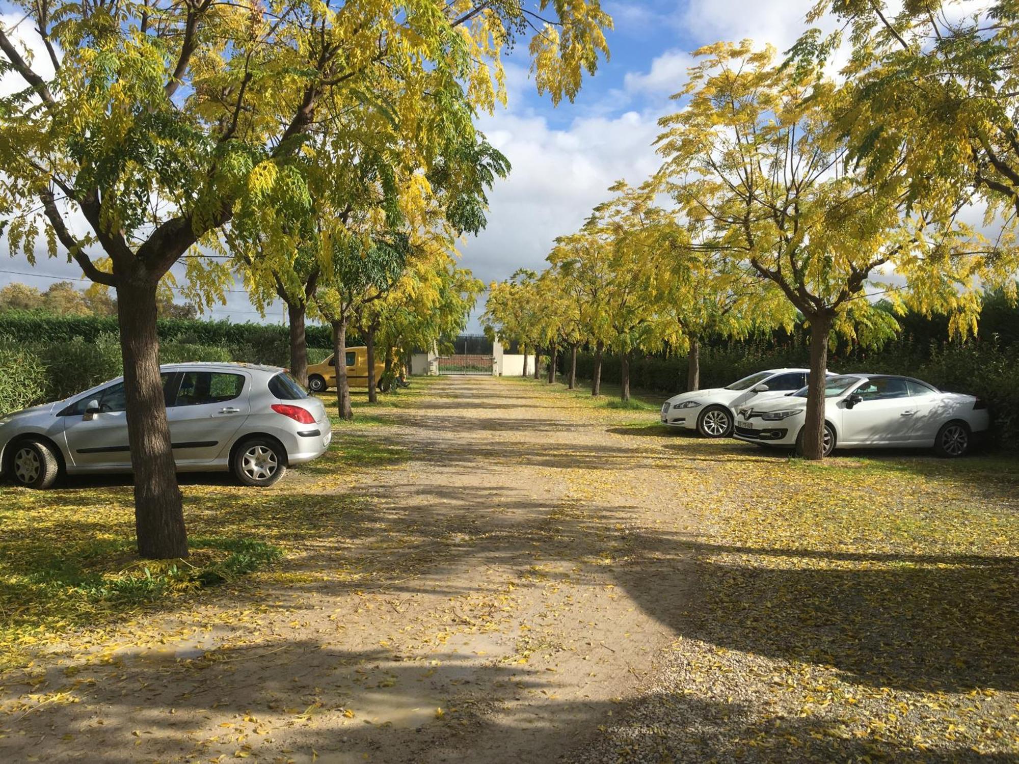 Chambres D'Hotes Avec Jacuzzi Et Piscine Au Mas De Cadoule Saint-Just  Zewnętrze zdjęcie
